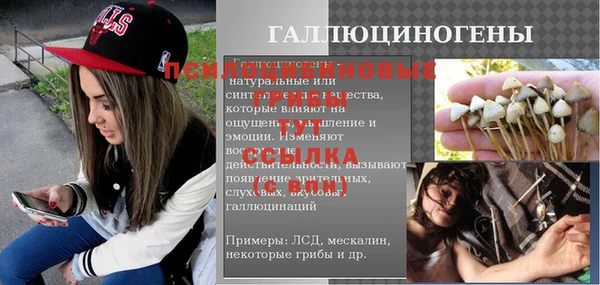 амф Алексин