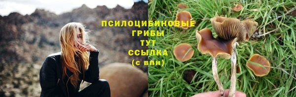 гашиш Абаза