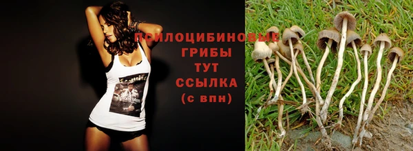 таблы Магадан